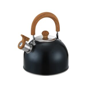 Stainless steel kettle
